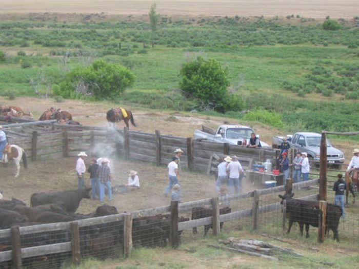 Lonesome Spur Ranch