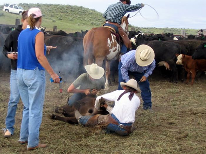 Lonesome Spur Ranch