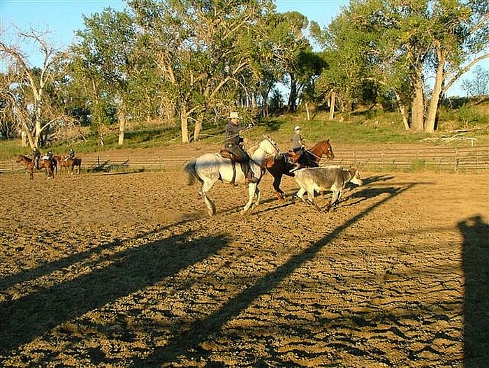 Lonesome Spur Ranch