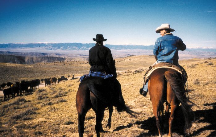 Lonesome Spur Ranch