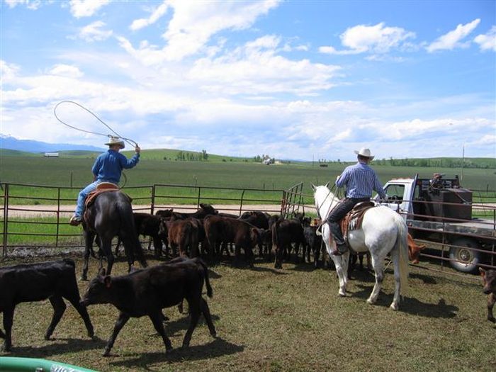 Lonesome Spur Ranch