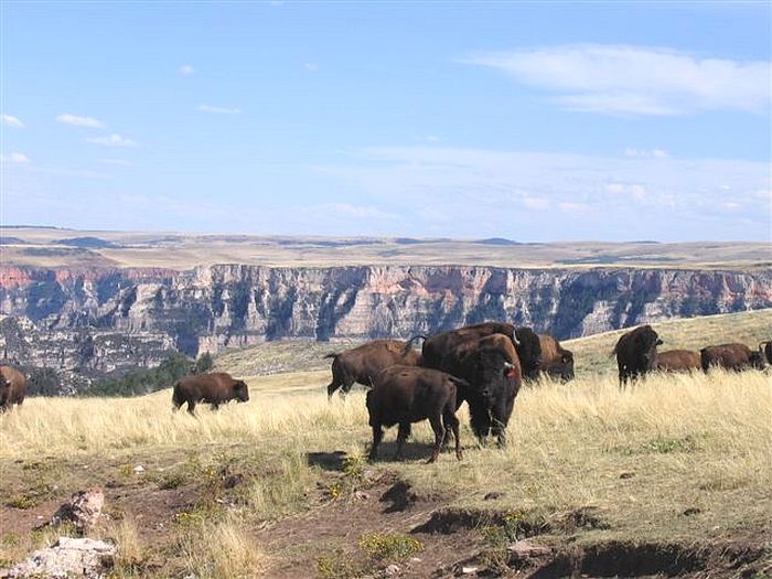 Lonesome Spur Ranch