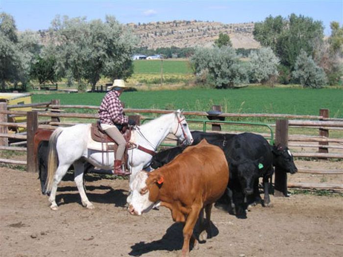 Lonesome Spur Ranch