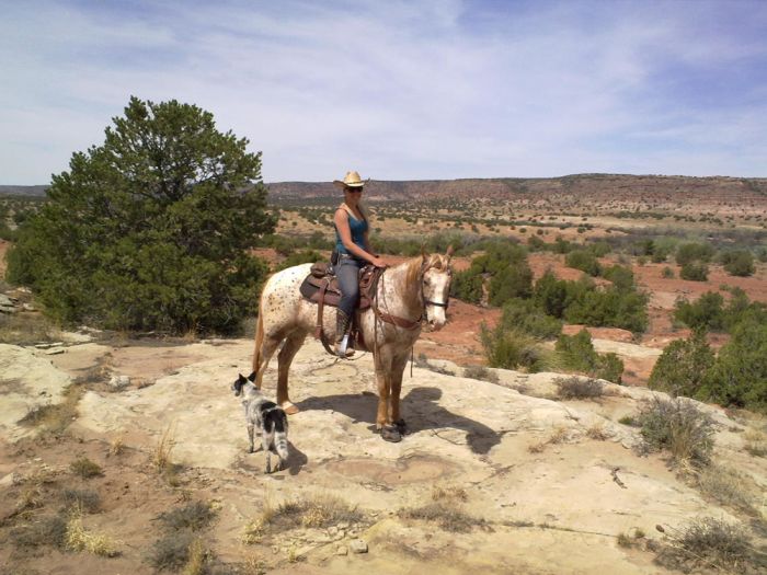 Southwest Working and Guest Ranch New Mexico