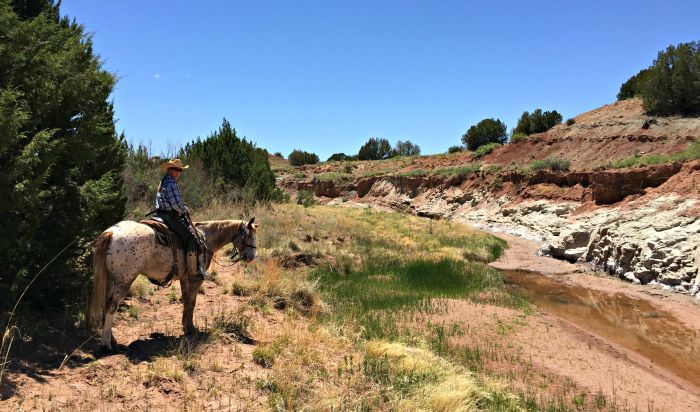 Southwest Working and Guest Ranch New Mexico