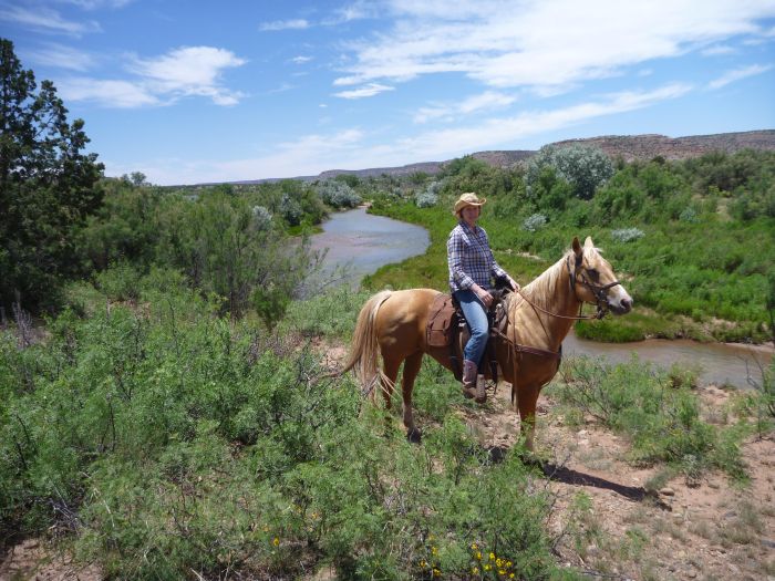 Southwest Working and Guest Ranch New Mexico