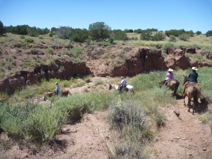 Southwest Working and Guest Ranch New Mexico