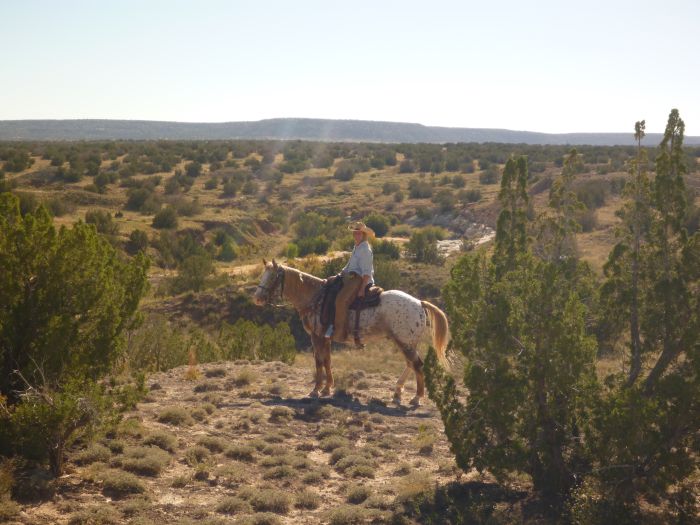 Southwest Working and Guest Ranch New Mexico