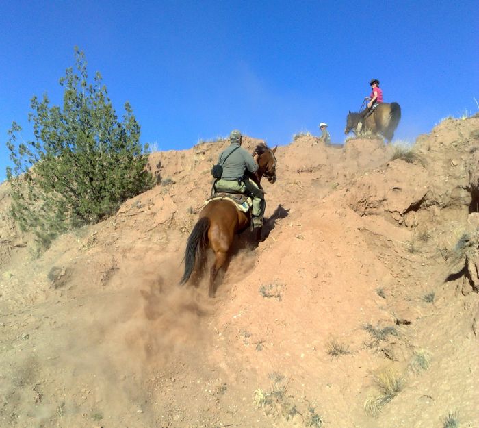 Southwest Working and Guest Ranch New Mexico