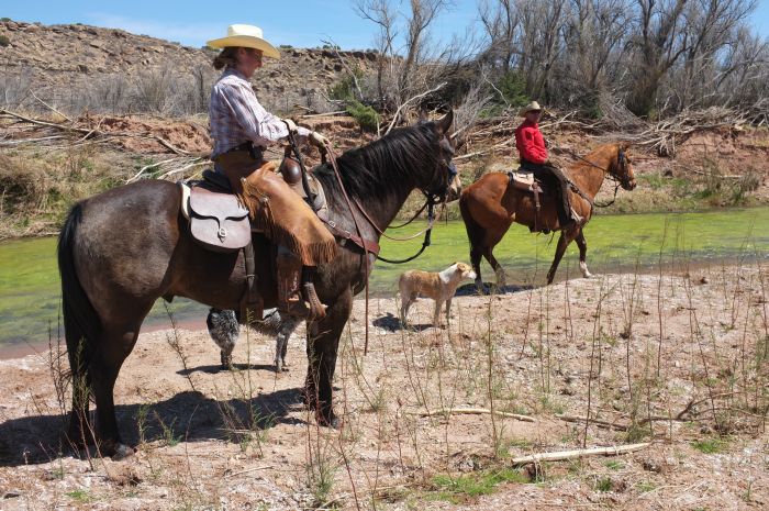 Southwest Working and Guest Ranch New Mexico