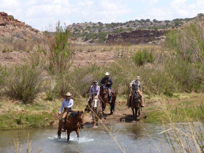 Southwest Working and Guest Ranch New Mexico