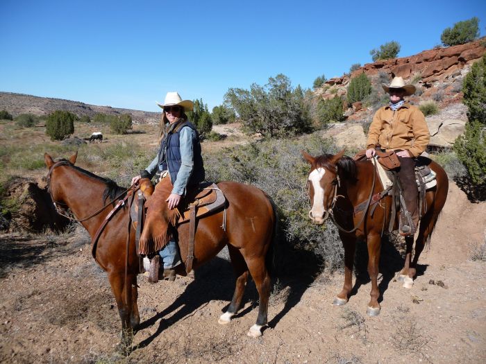 Southwest Working and Guest Ranch New Mexico