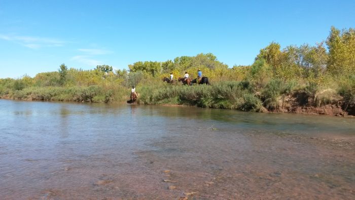 Southwest Working and Guest Ranch New Mexico