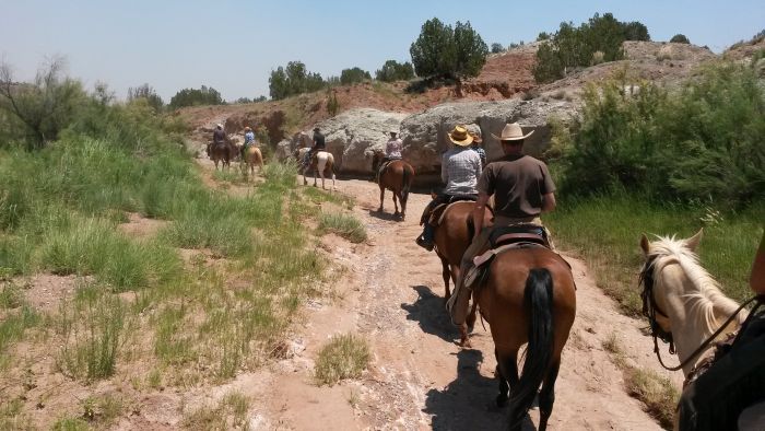 Southwest Working and Guest Ranch New Mexico