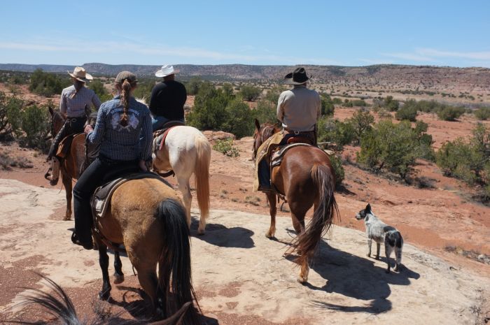 Southwest Working and Guest Ranch New Mexico