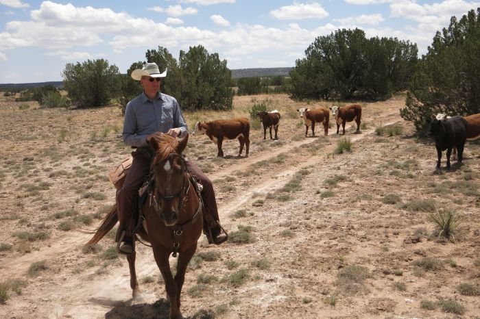 Southwest Working and Guest Ranch New Mexico