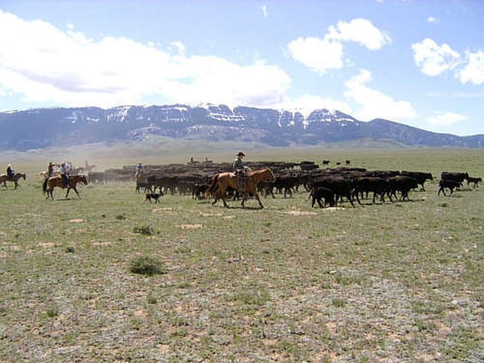 Dryhead Working Ranch