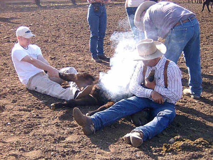 Dryhead Working Ranch