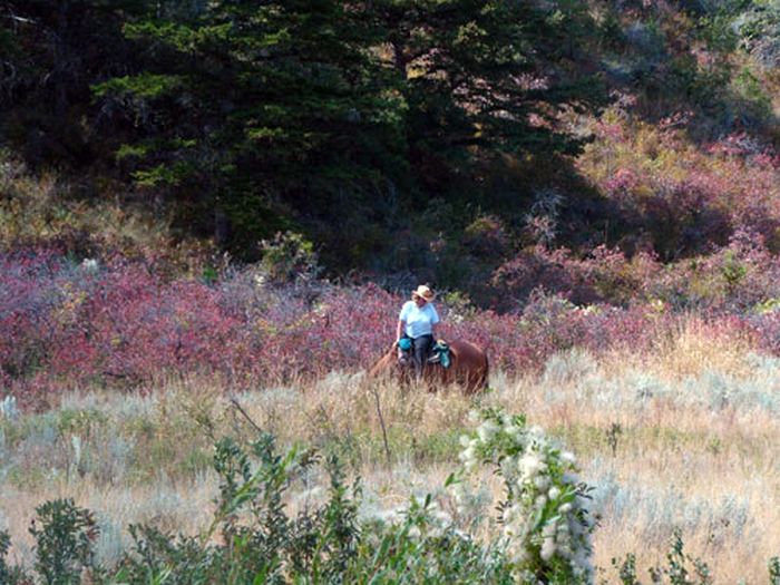 Dryhead Working Ranch