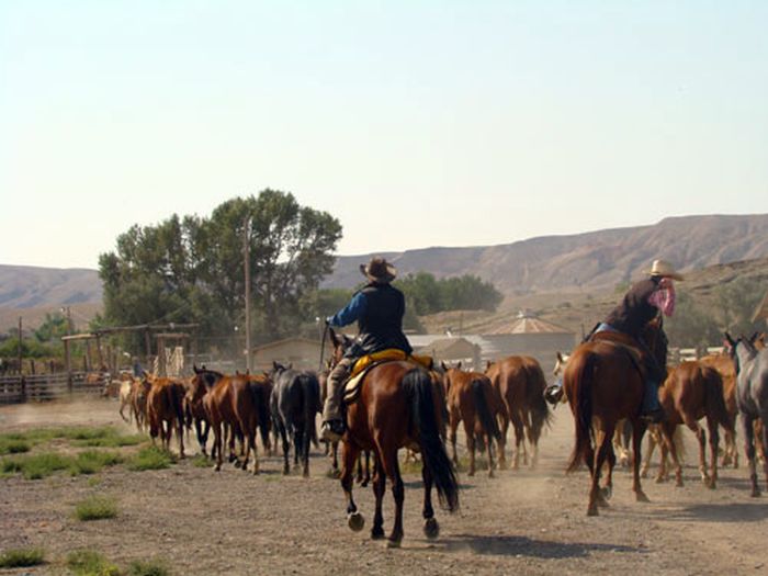 Dryhead Working Ranch