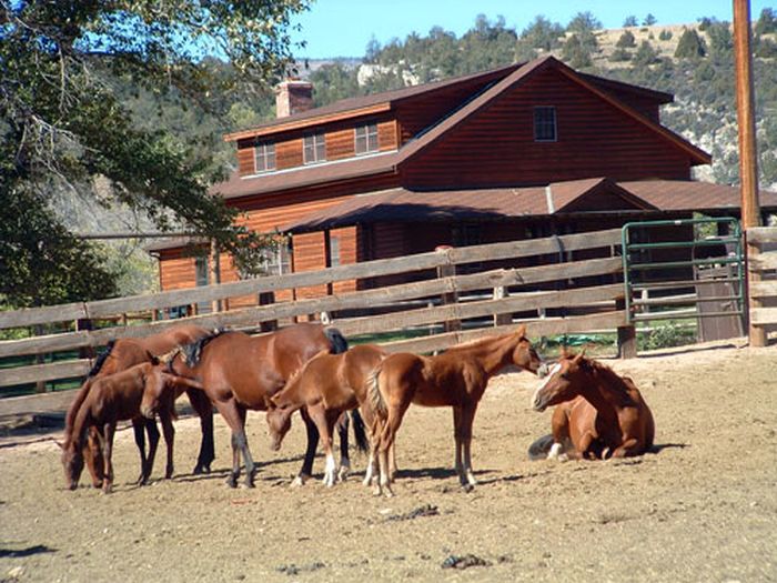 Dryhead Working Ranch