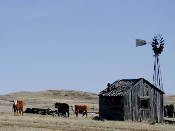 Devils Tower Working & Guest Ranch