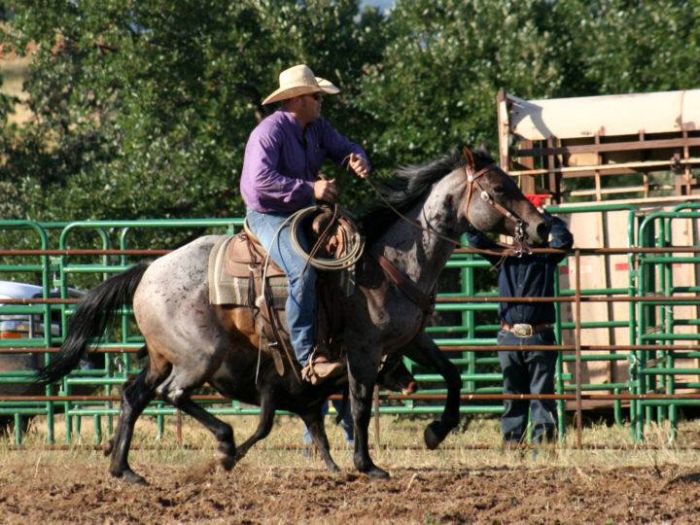 Devils Tower Working & Guest Ranch