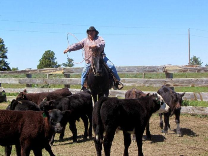 Devils Tower Working & Guest Ranch