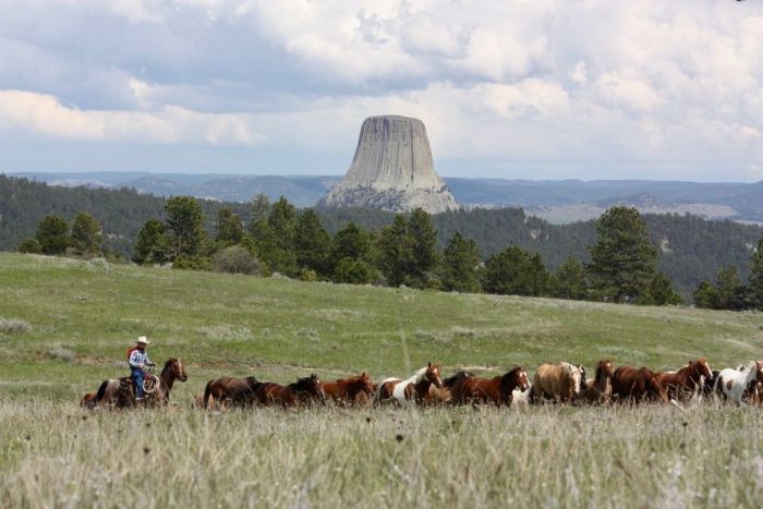 Devils Tower Working Ranch
