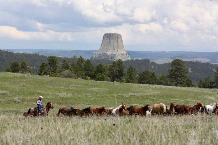 Devils Tower Working & Guest Ranch