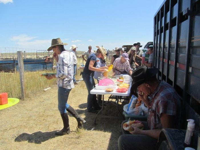 Devils Tower Working & Guest Ranch