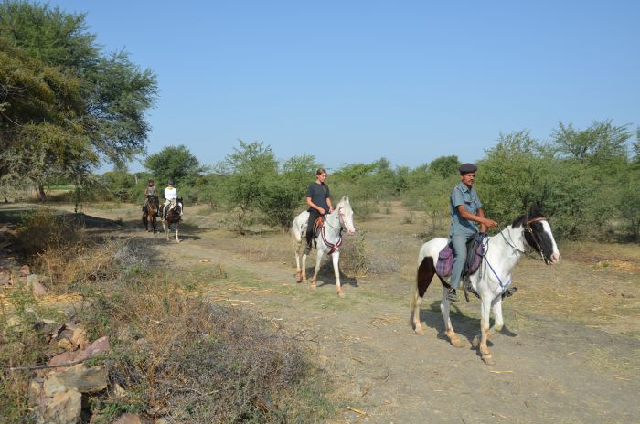 Mewar Trail, Reitsafari in Nordindien