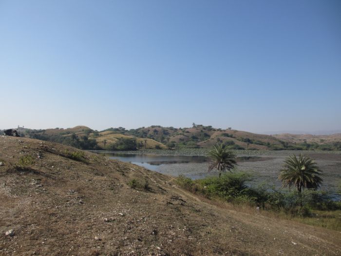 Pushkar Trail - Pferdesafari in Indien