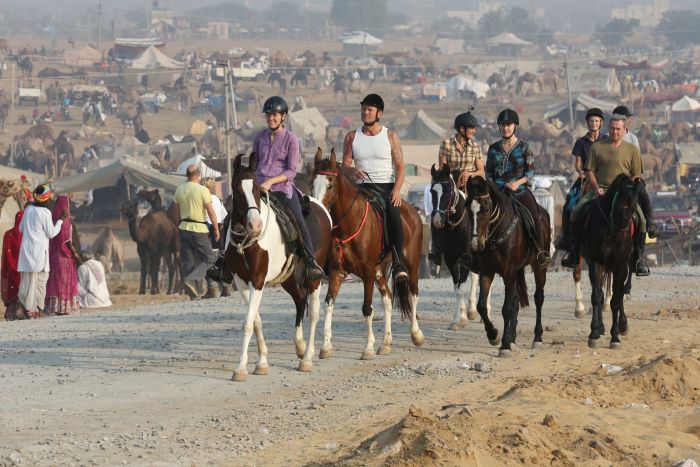 Pushkar Trail - Pferdesafari in Indien