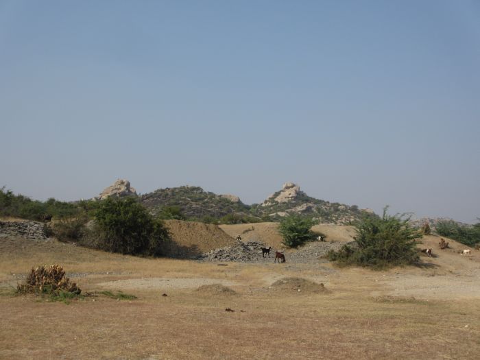 Pushkar Trail - Pferdesafari in Indien