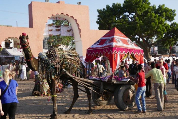 Pushkar Trail - Pferdesafari in Indien