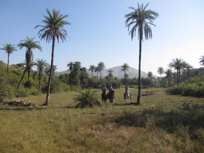 Pushkar Trail - Pferdesafari in Indien