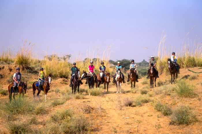 Pushkar Trail - Pferdesafari in Indien