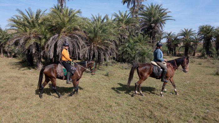 Pushkar Trail - Pferdesafari in Indien