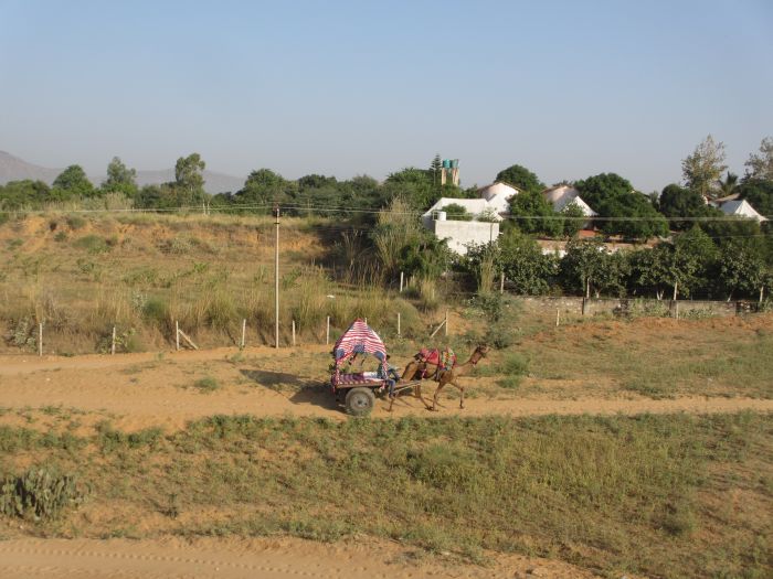 Pushkar Trail - Pferdesafari in Indien