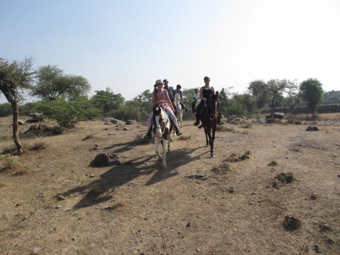 Pushkar Trail - Pferdesafari in Indien