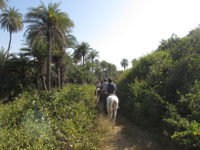 Pushkar Trail - Pferdesafari in Indien