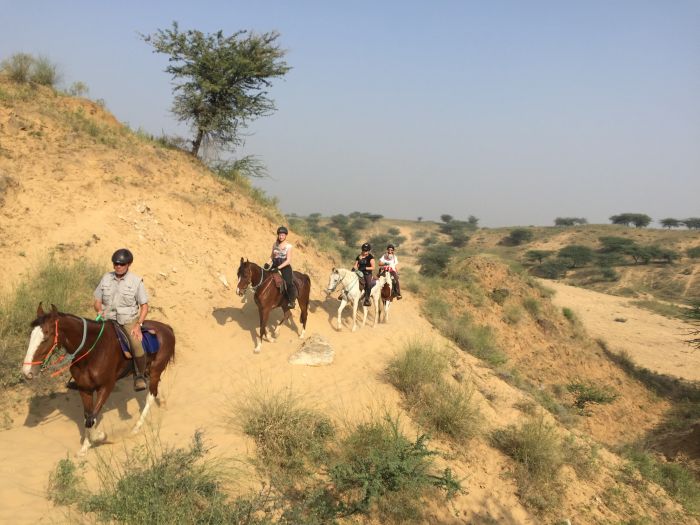 Pushkar Trail - Pferdesafari in Indien