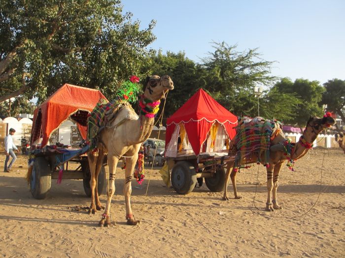 Pushkar Trail - Pferdesafari in Indien