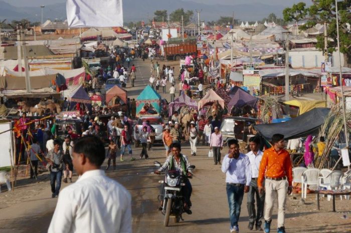 Pushkar Trail - Pferdesafari in Indien