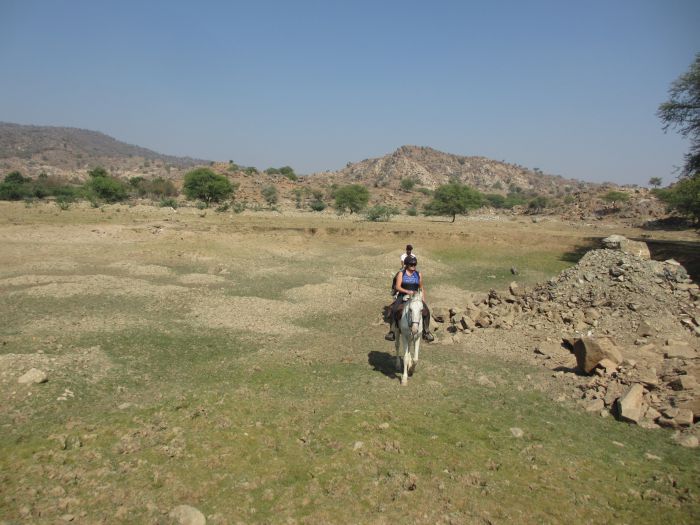 Pushkar Trail - Pferdesafari in Indien