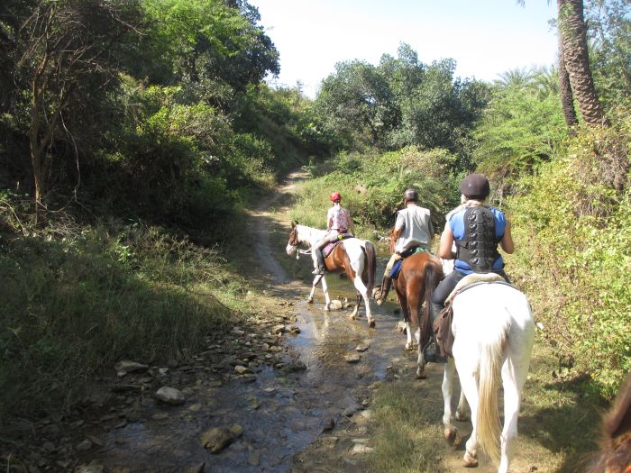 Pushkar Trail - Pferdesafari in Indien