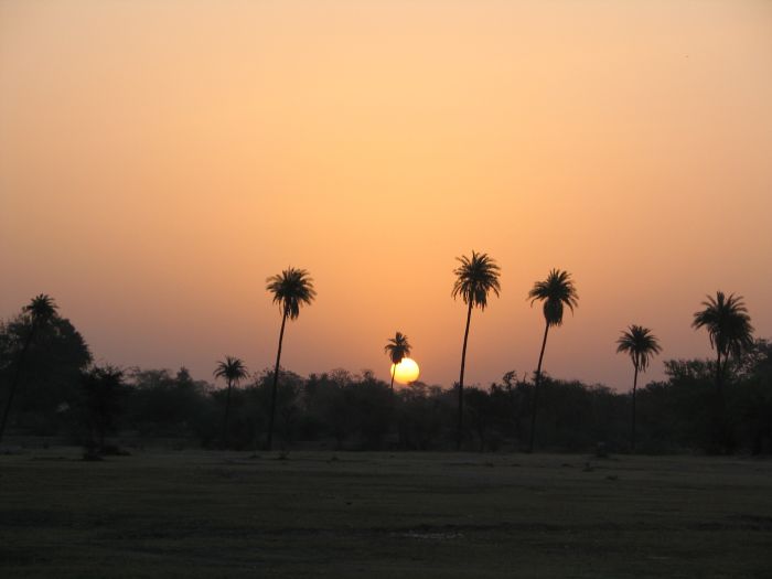 Pushkar Trail - Pferdesafari in Indien