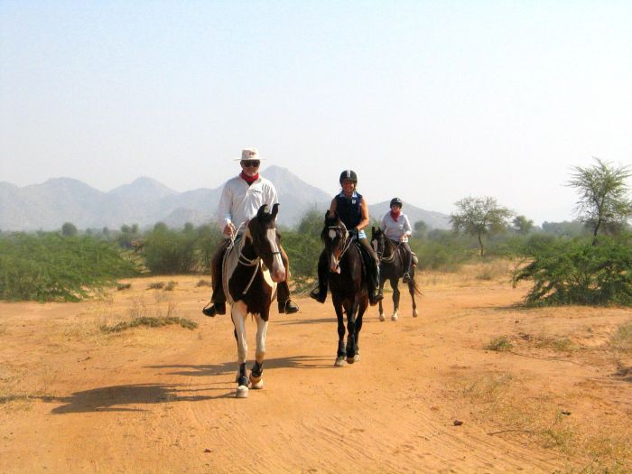 Pushkar Trail - Pferdesafari in Indien