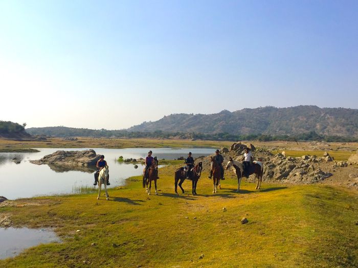 Pushkar Trail - Pferdesafari in Indien